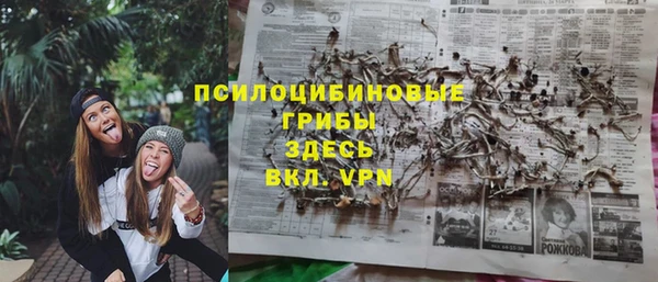 стаф Алексин