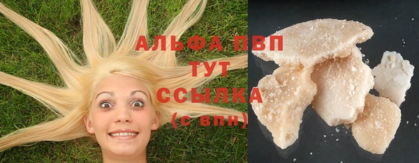 стаф Алексин