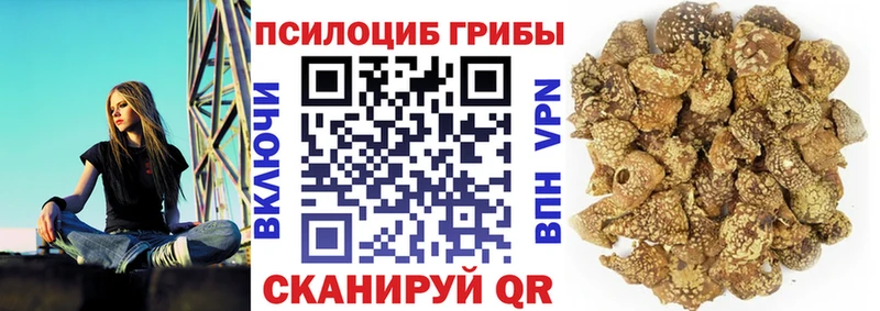купить   Калач-на-Дону  Псилоцибиновые грибы прущие грибы 