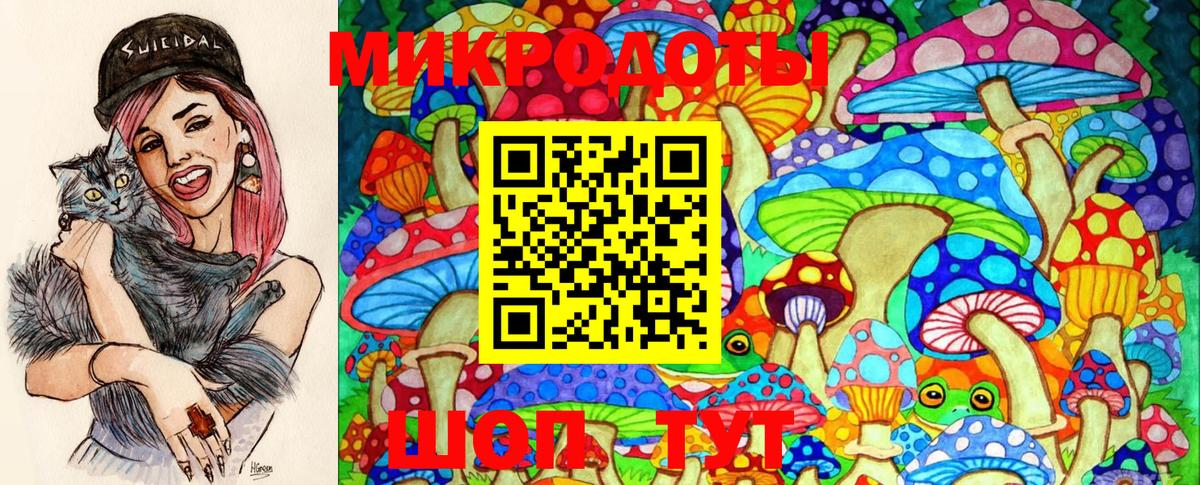 Псилоцибиновые грибы Psilocybe Калач-на-Дону