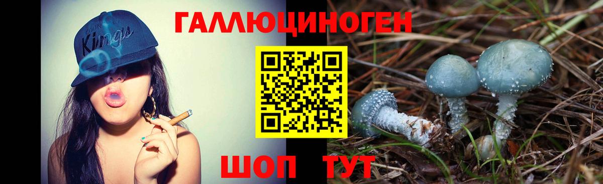 Псилоцибиновые грибы Magic Shrooms  Галлюциногенные грибы GOLDEN TEACHER  Калач-на-Дону  даркнет сайт  Вход с VPN 